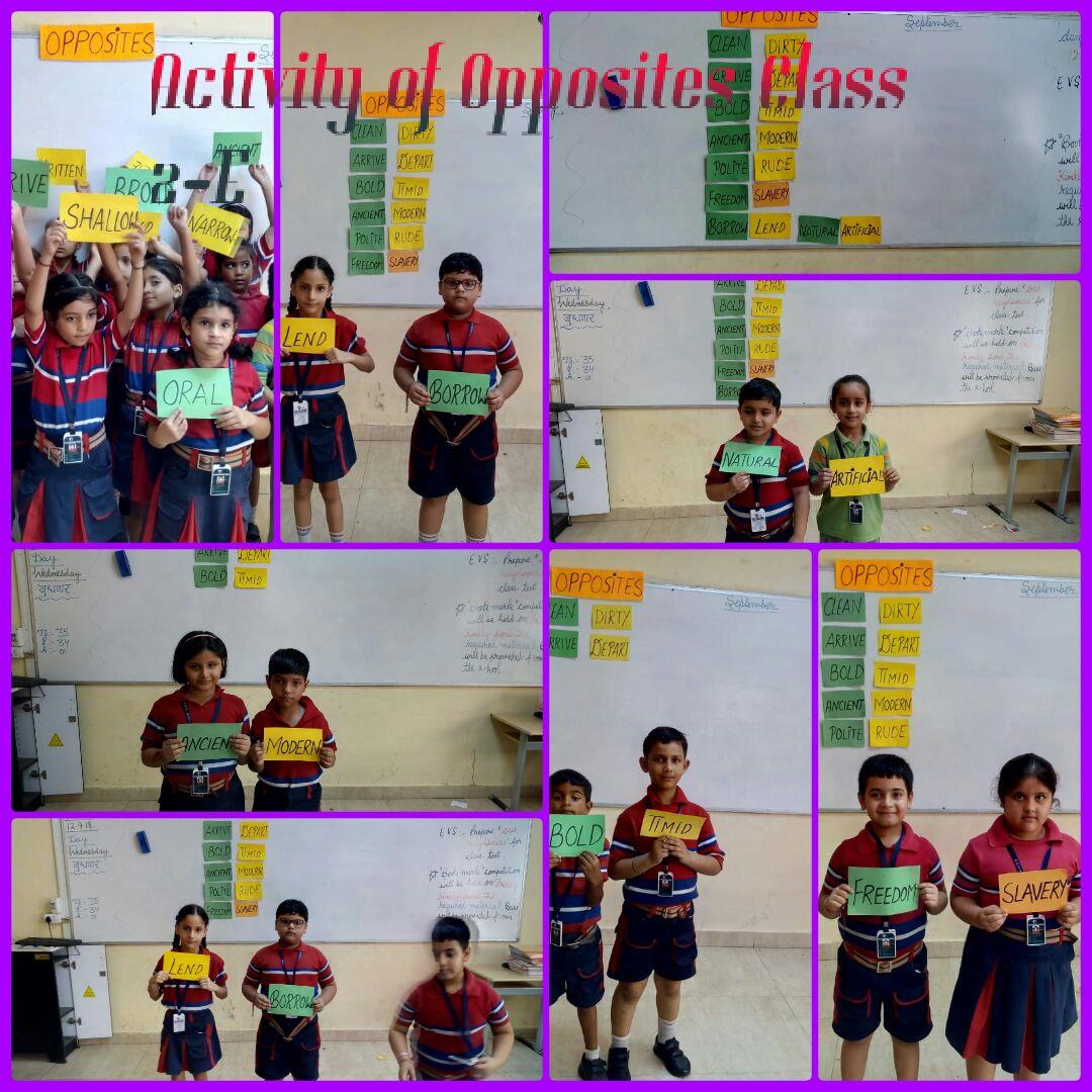 OPPOSITES CLASS 11 2018