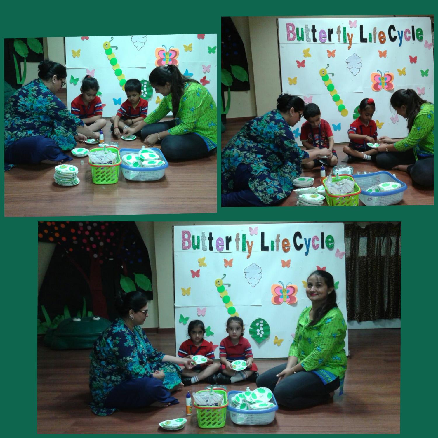 Butterfly life cycle