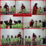 Sense Organs : Class 2