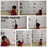 My body : Class 2