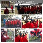 Plants around us : Class 2