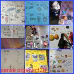 Sense organs activity : Classll