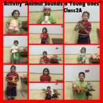 Animal Sounds&Young Ones : Class 2