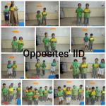 Opposites : class 2